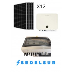 KIT SOLAR AUTOCONSUNO SALICRU MONOFÁSICOS 6KW: 12 Paneles...