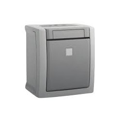 Pulsador luminoso 10a 250v ip54 gris